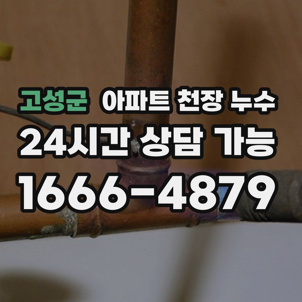 고성군 아파트 천장 누수