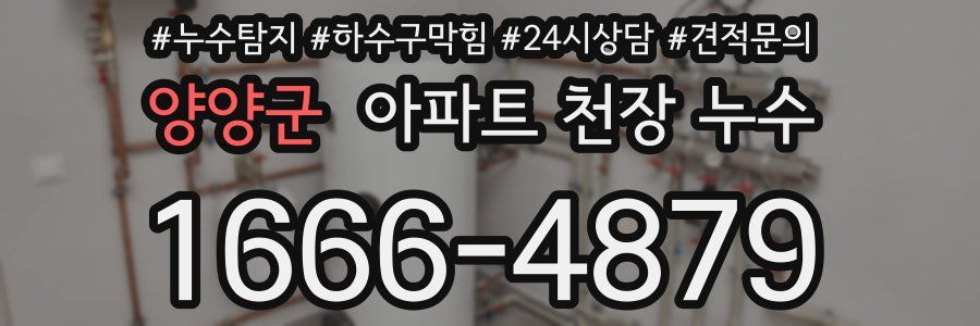 양양군 아파트 천장 누수