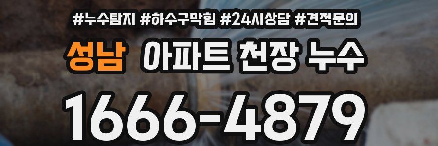 성남 아파트 천장 누수