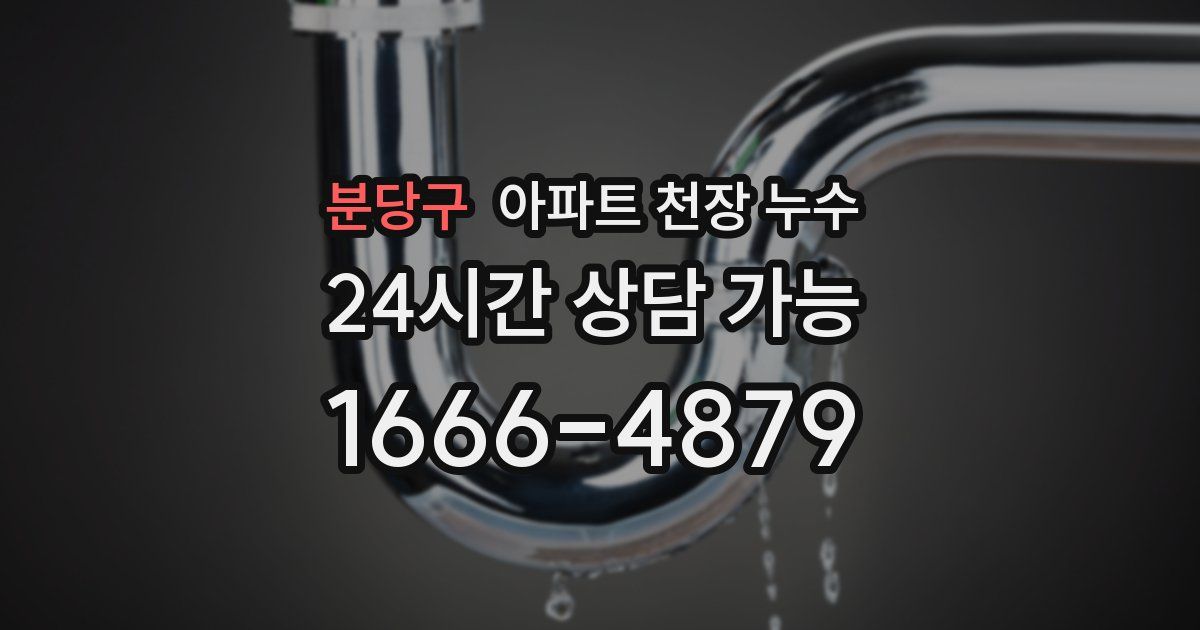 분당구 아파트 천장 누수