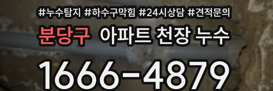 분당구 아파트 천장 누수