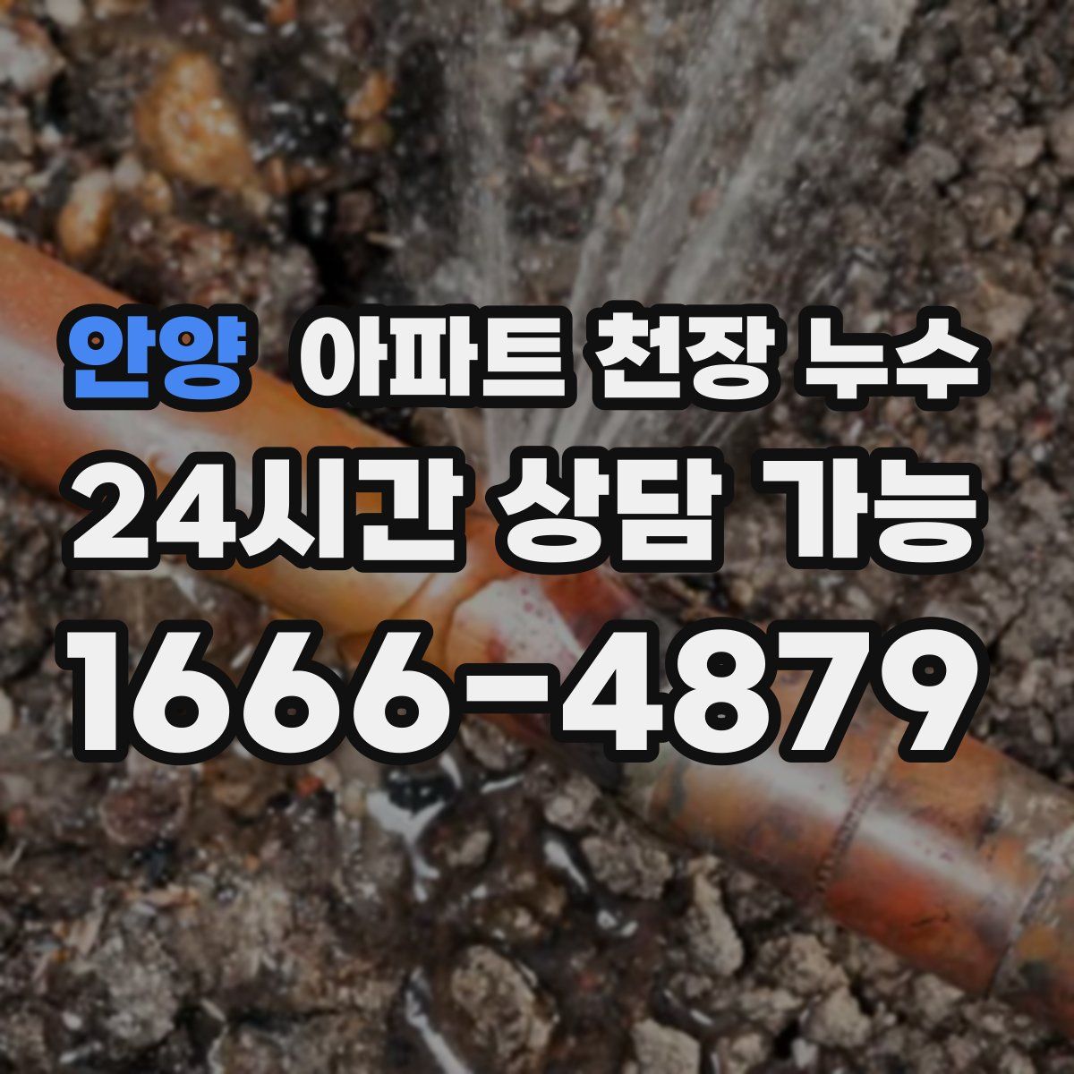 안양 아파트 천장 누수