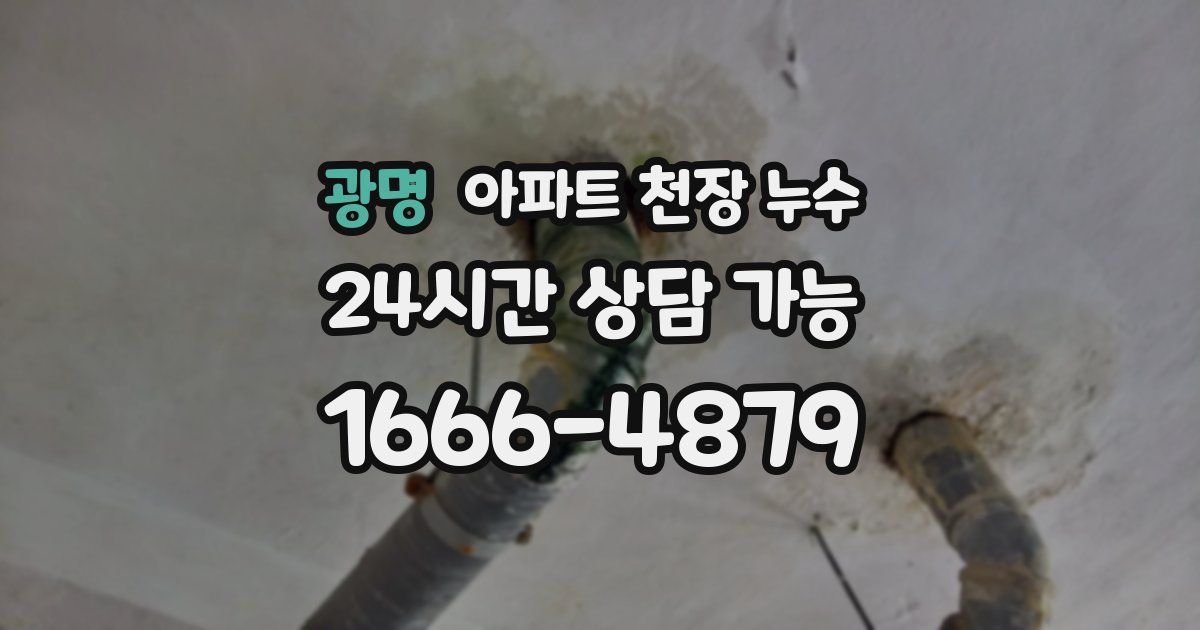 광명 아파트 천장 누수