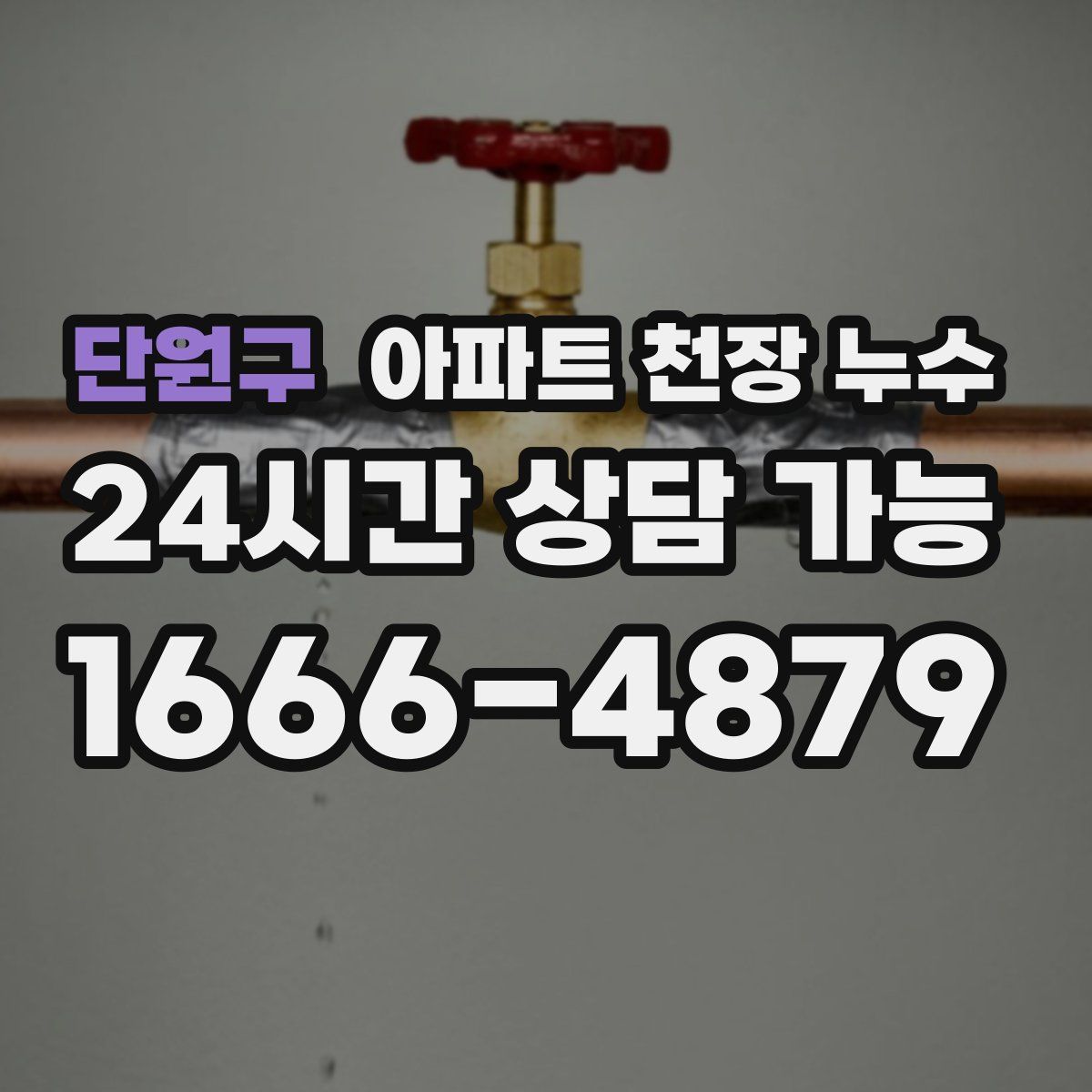 단원구 아파트 천장 누수