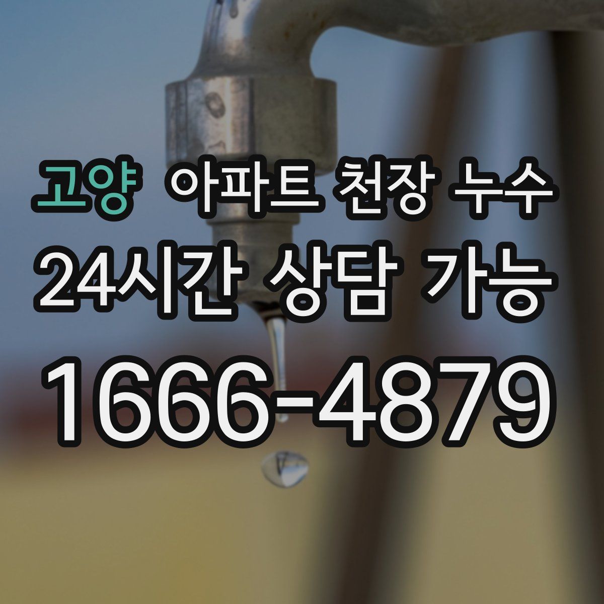 고양 아파트 천장 누수