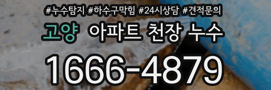 고양 아파트 천장 누수