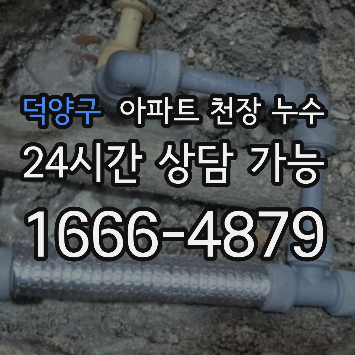 덕양구 아파트 천장 누수