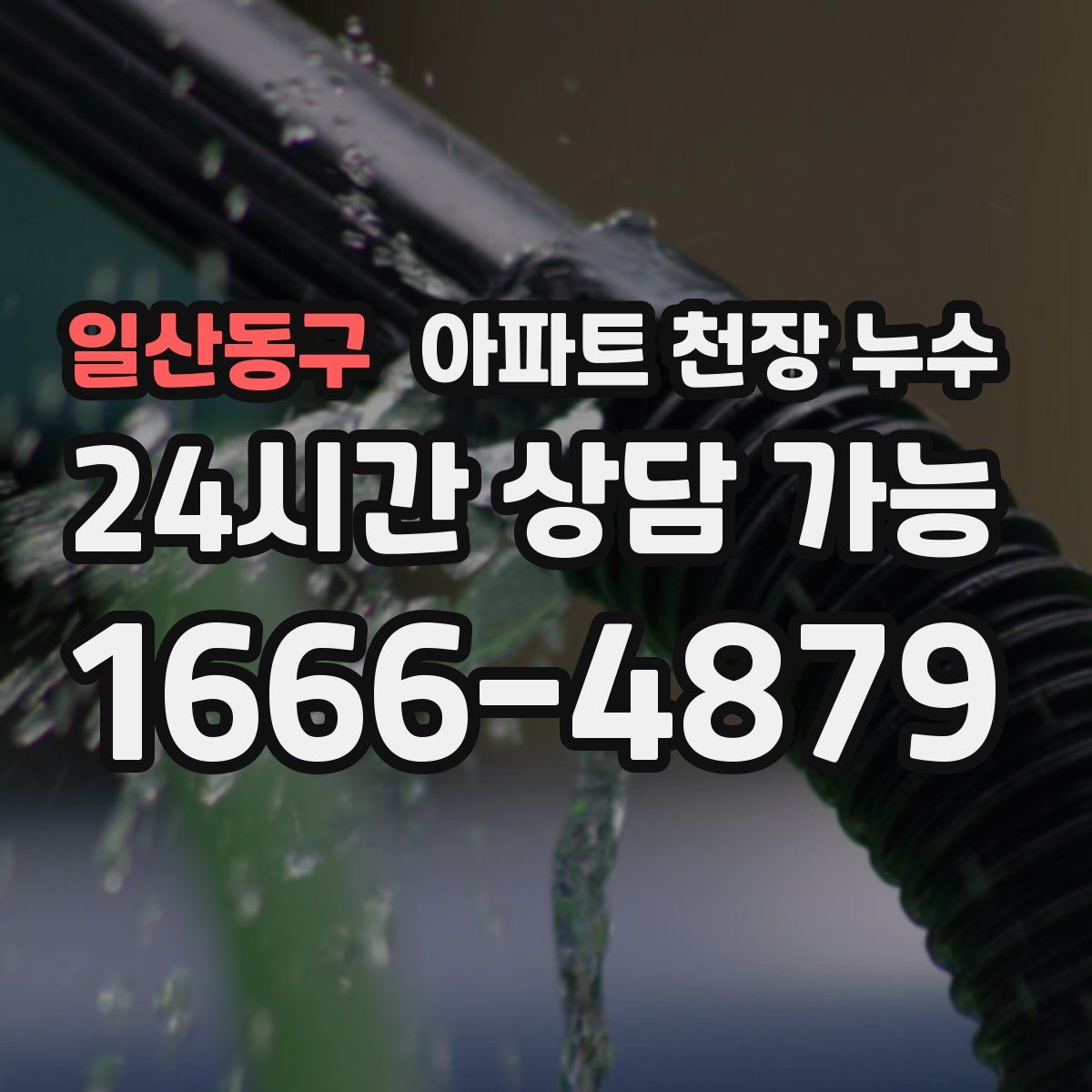 일산동구 아파트 천장 누수
