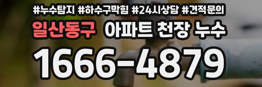 일산동구 아파트 천장 누수