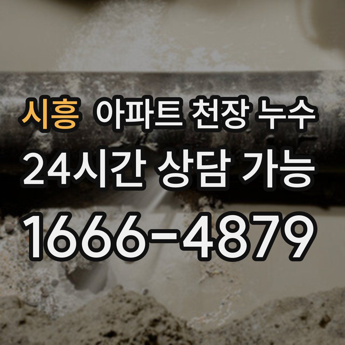 시흥 아파트 천장 누수