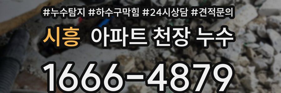 시흥 아파트 천장 누수