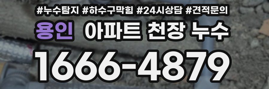 용인 아파트 천장 누수