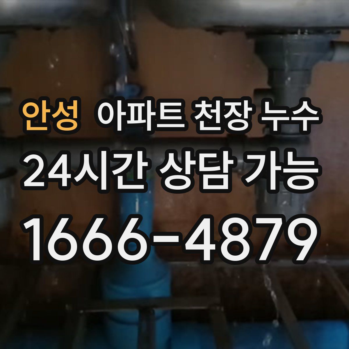 안성 아파트 천장 누수