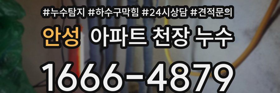 안성 아파트 천장 누수