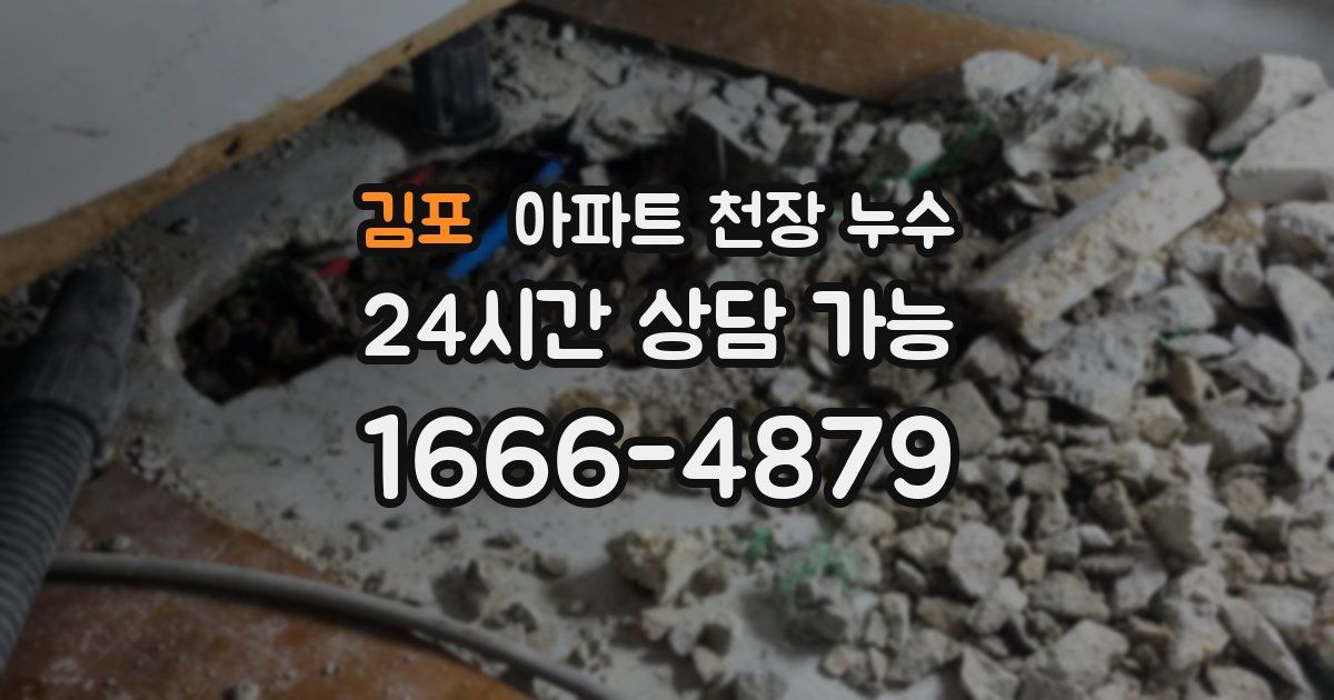 김포 아파트 천장 누수