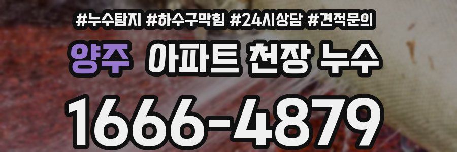 양주 아파트 천장 누수