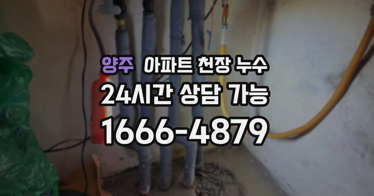 양주 아파트 천장 누수