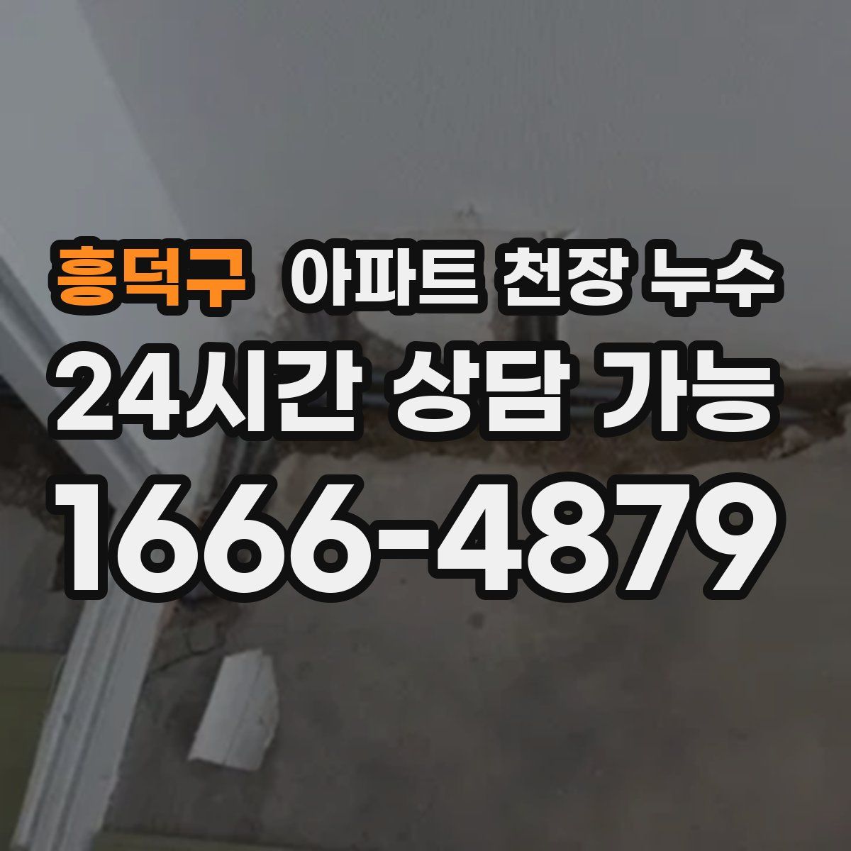 흥덕구 아파트 천장 누수