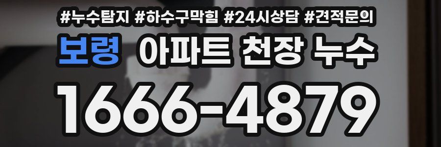보령 아파트 천장 누수