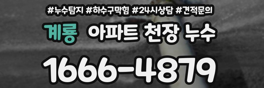 계룡 아파트 천장 누수