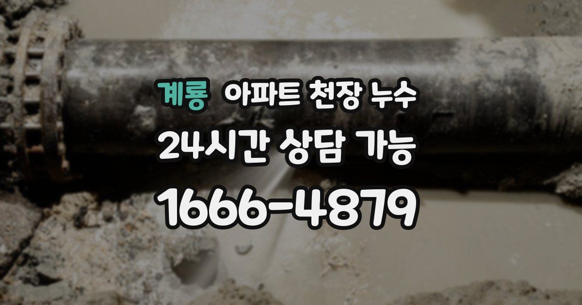 계룡 아파트 천장 누수