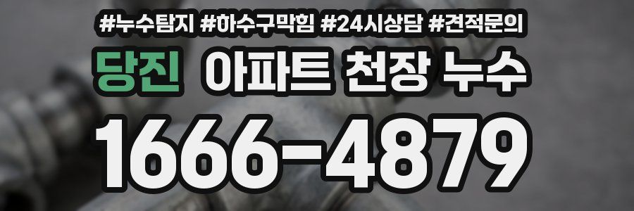 당진 아파트 천장 누수