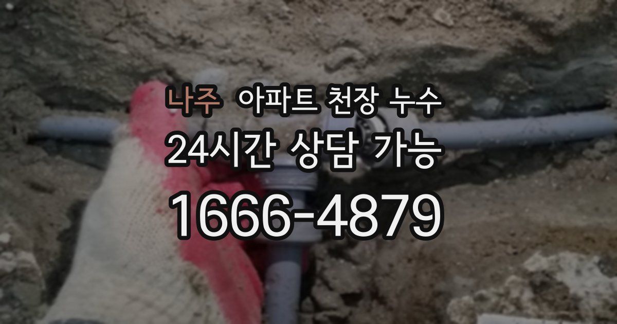 나주 아파트 천장 누수