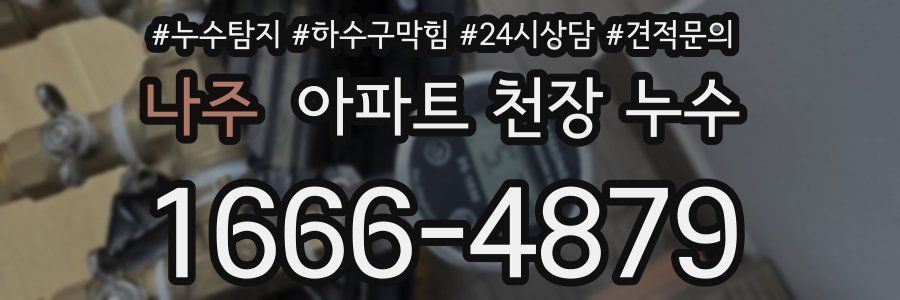 나주 아파트 천장 누수