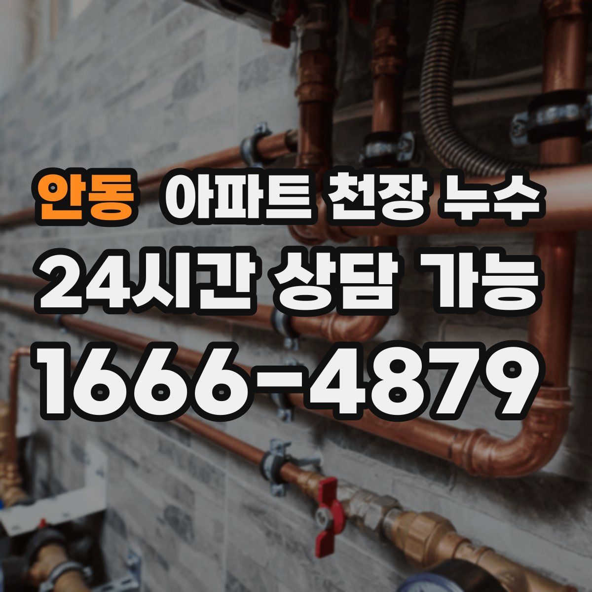 안동 아파트 천장 누수