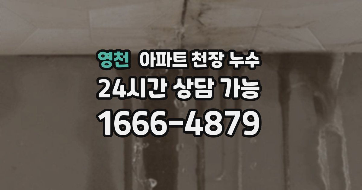 영천 아파트 천장 누수