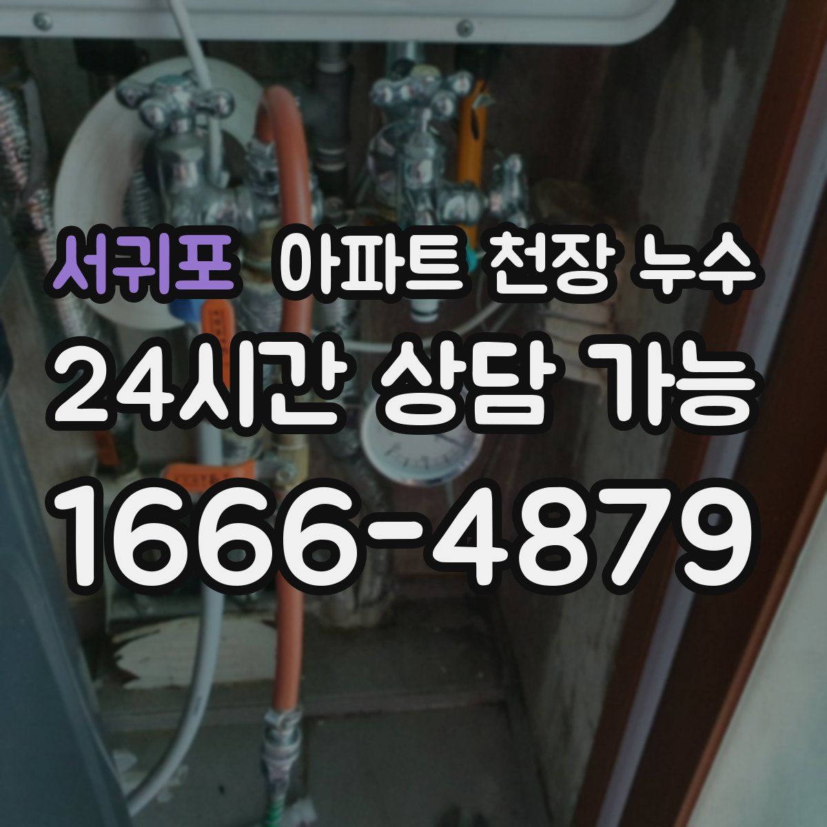 서귀포 아파트 천장 누수