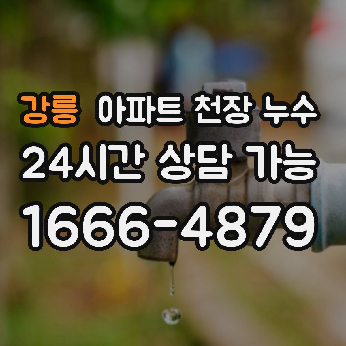 강릉 아파트 천장 누수