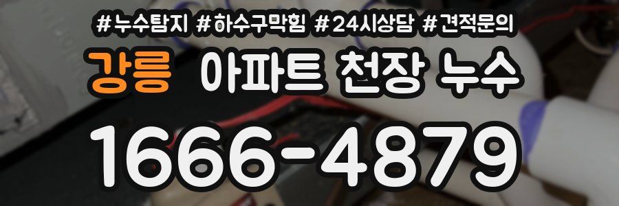 강릉 아파트 천장 누수