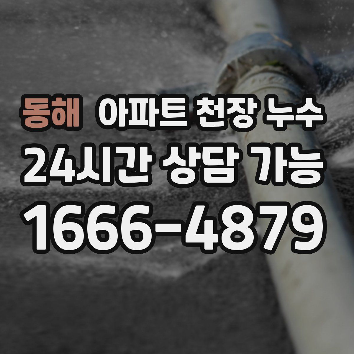 동해 아파트 천장 누수