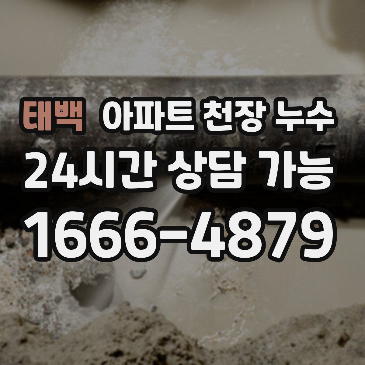 태백 아파트 천장 누수