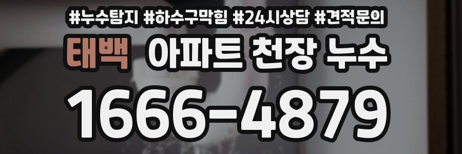 태백 아파트 천장 누수