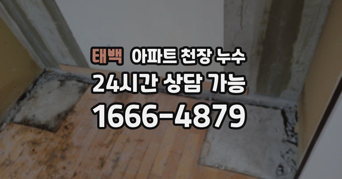 태백 아파트 천장 누수