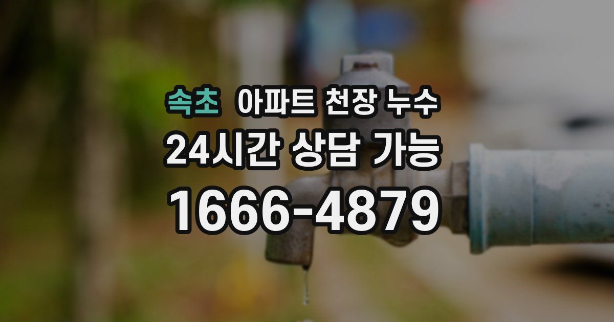 속초 아파트 천장 누수