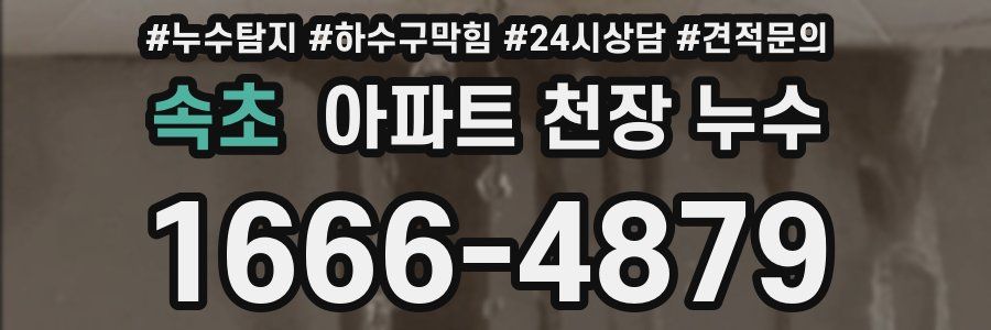 속초 아파트 천장 누수