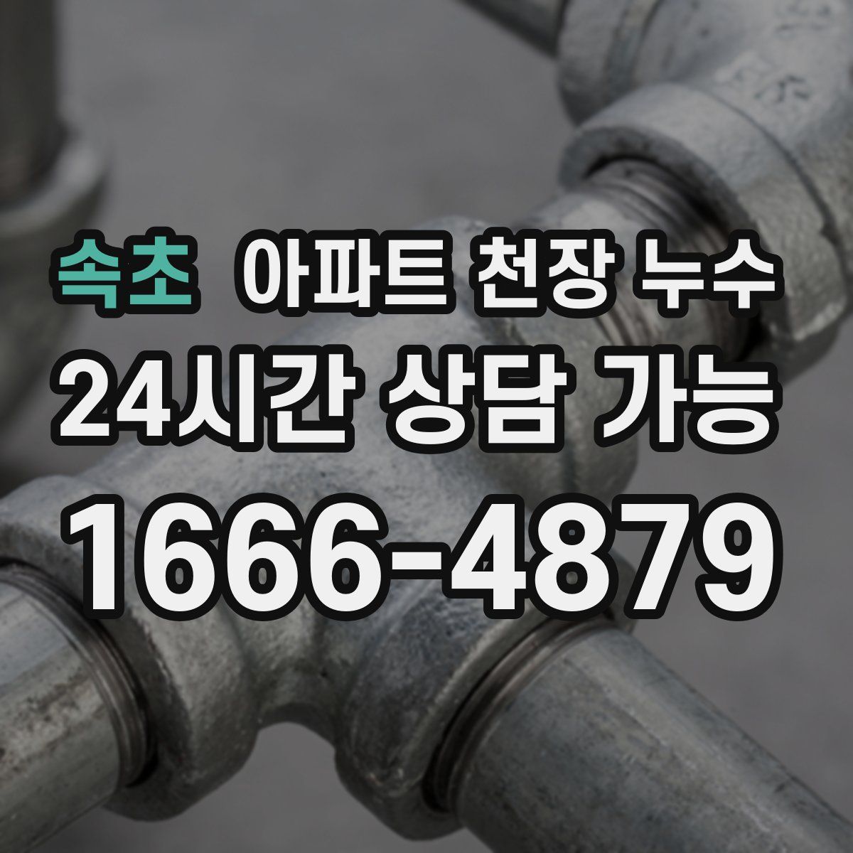 속초 아파트 천장 누수
