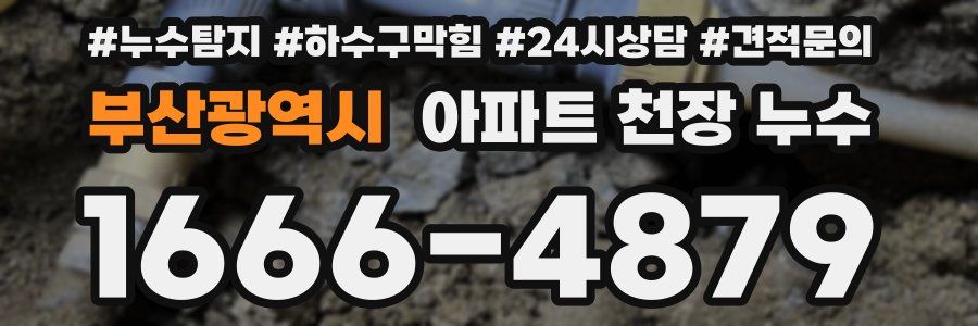 부산광역시 아파트 천장 누수