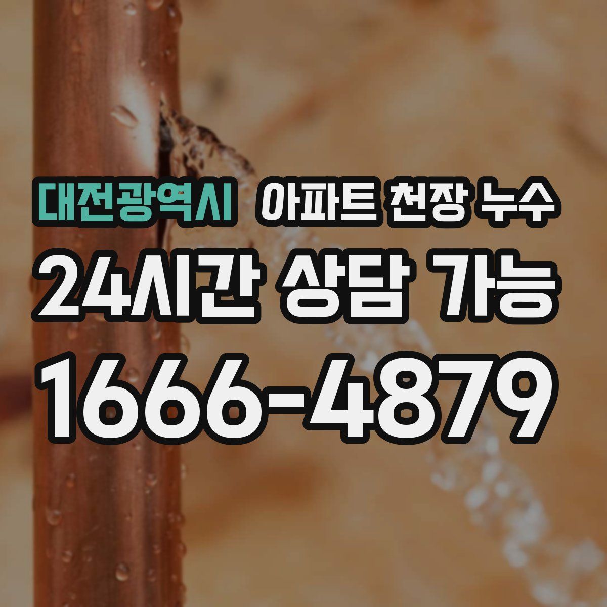 대전광역시 아파트 천장 누수