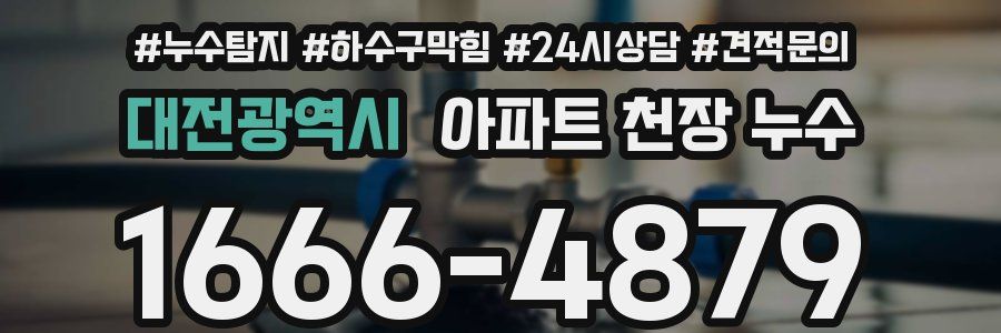 대전광역시 아파트 천장 누수