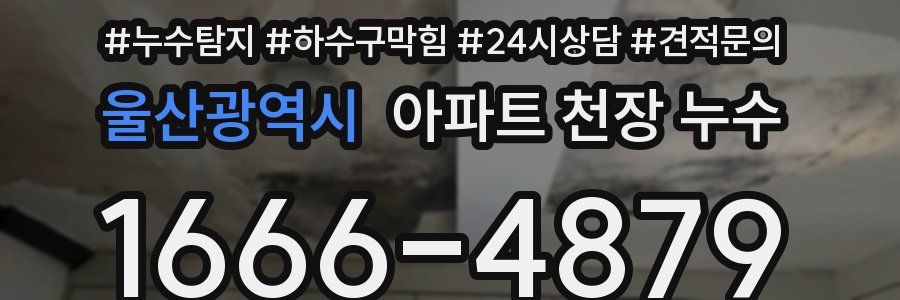 울산광역시 아파트 천장 누수
