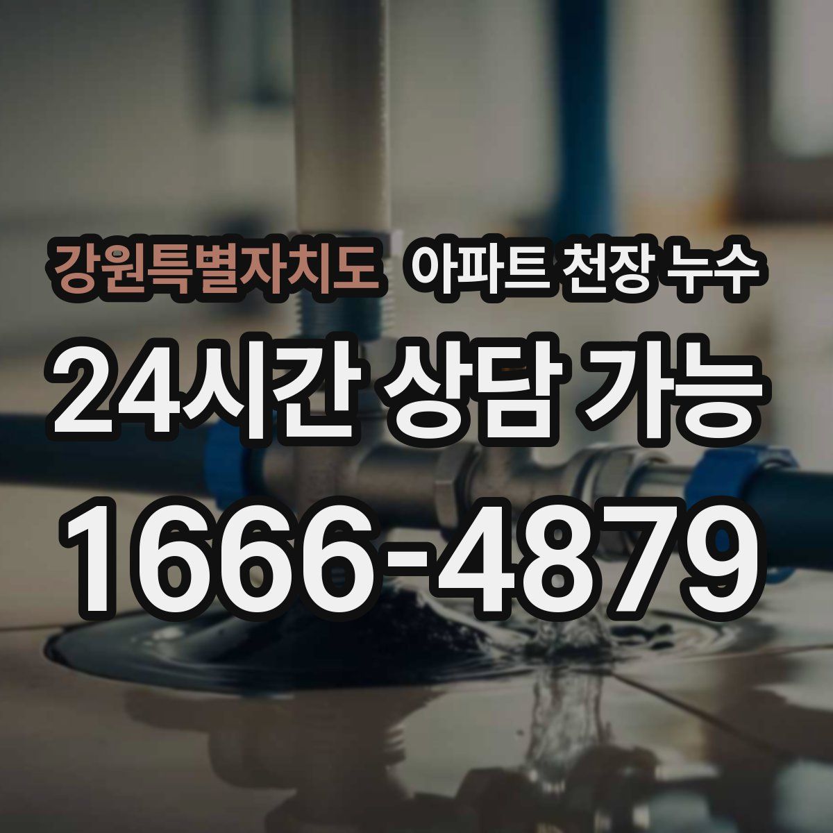 강원특별자치도 아파트 천장 누수