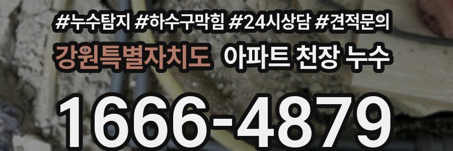 강원특별자치도 아파트 천장 누수