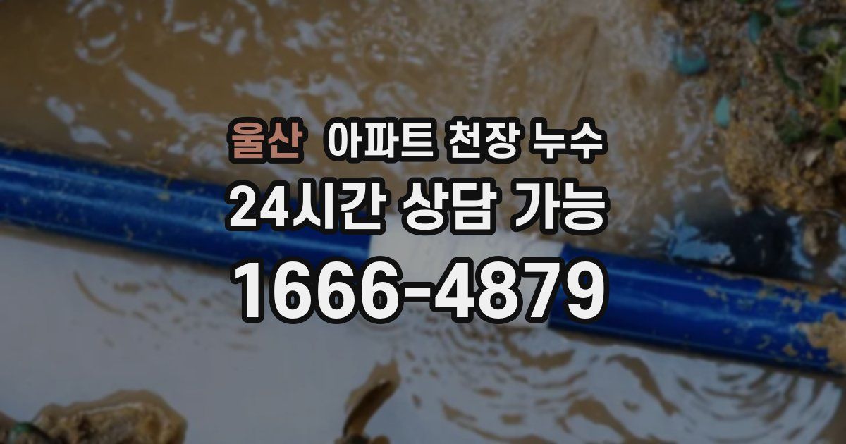울산 아파트 천장 누수