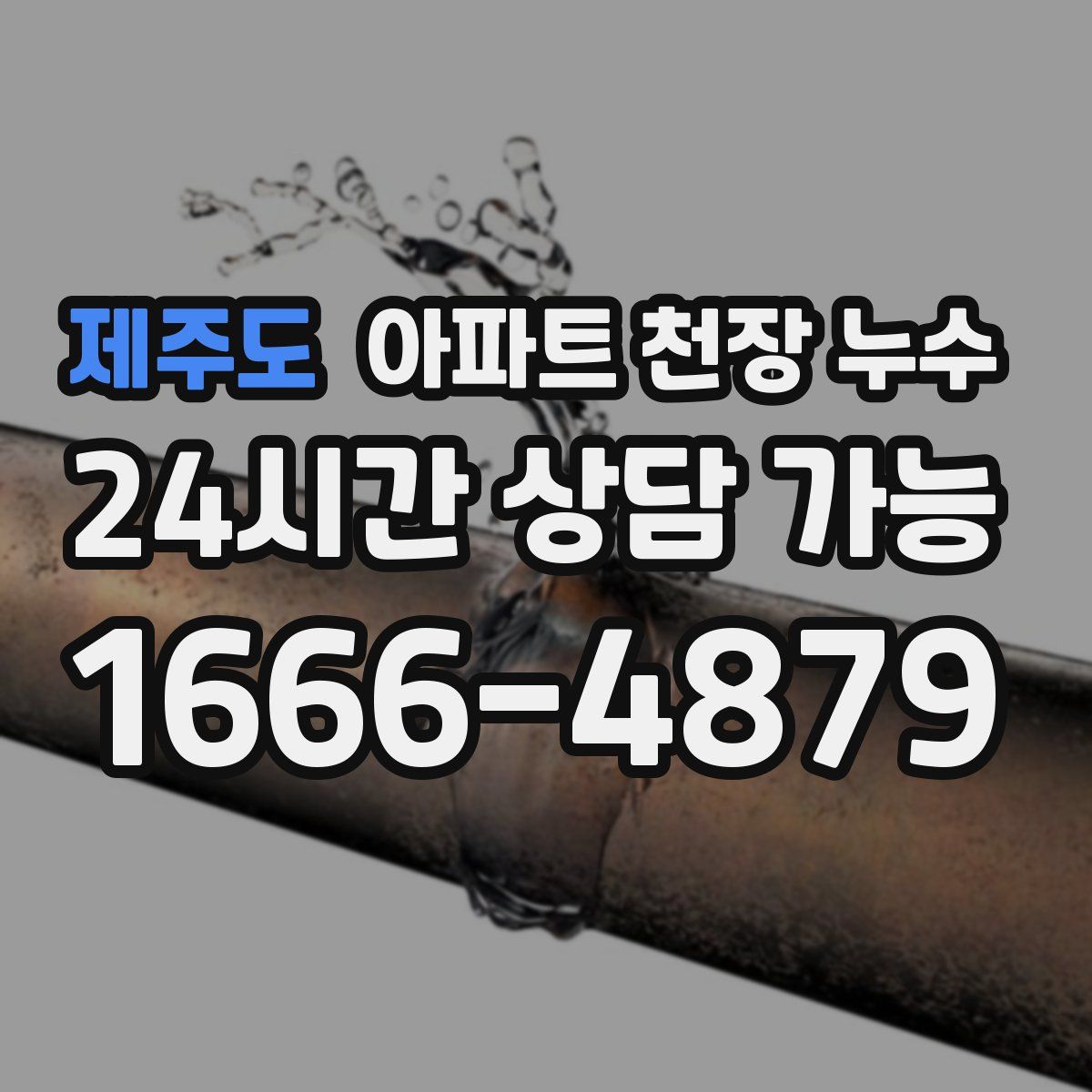 제주도 아파트 천장 누수