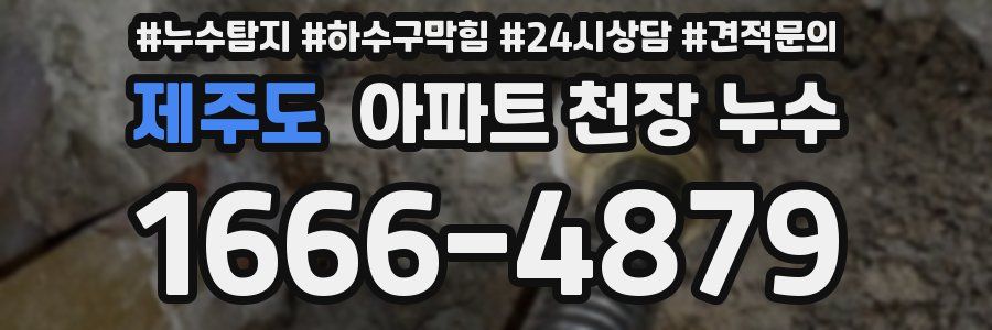 제주도 아파트 천장 누수