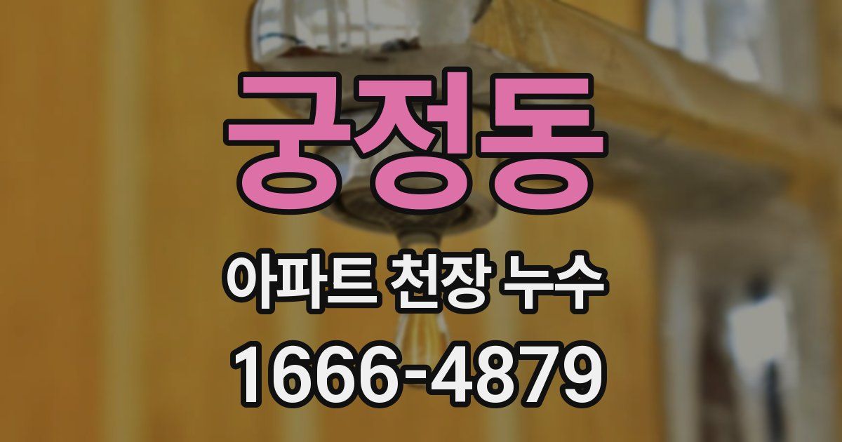 궁정동 아파트 천장 누수